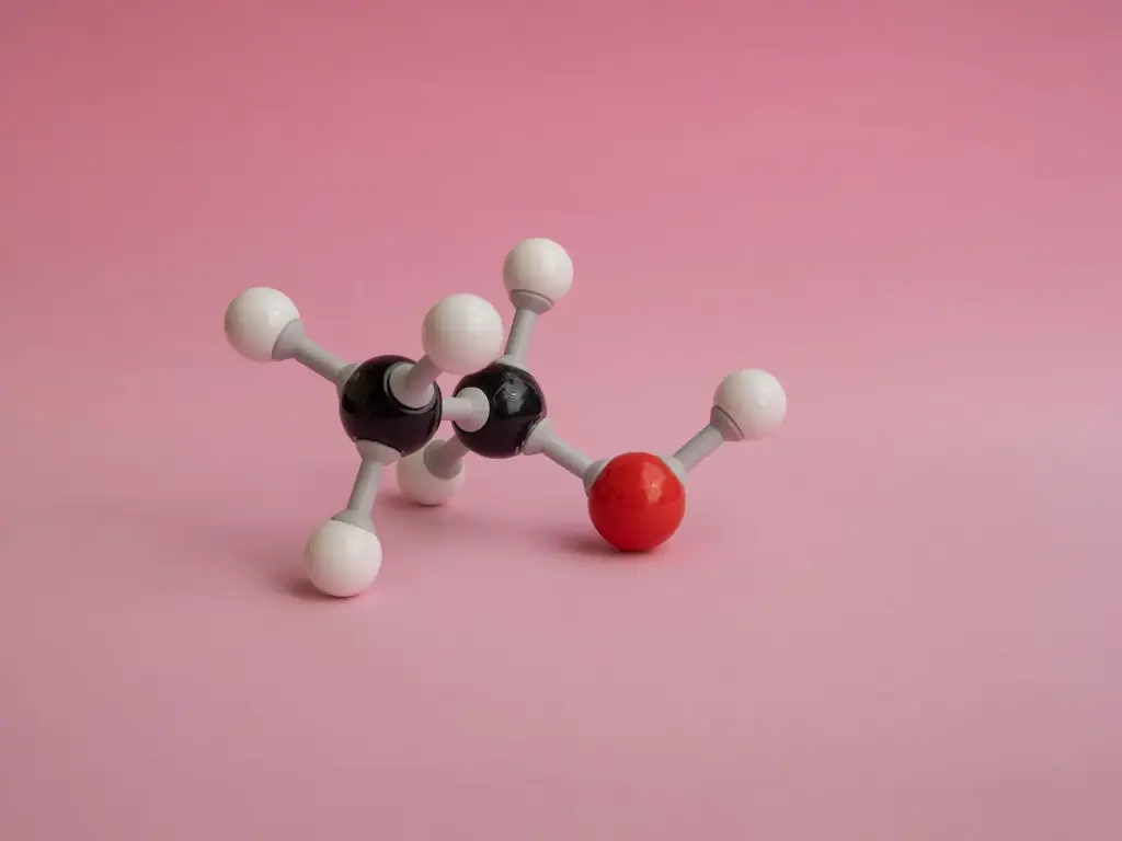 Biospin Polysaccharide and Polyphenol Plant Total RNA Extraction Kit