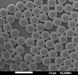 NHS Silica Magnetic Particles, 1.5 um