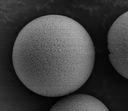 Native Retinol Binding Protein (RBP) Antigen