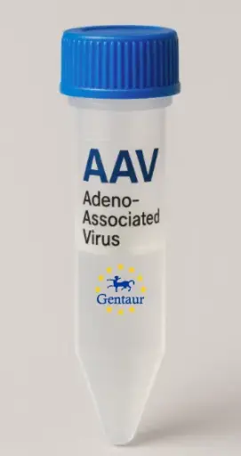CHM AAV Vector (Rat) (CMV)